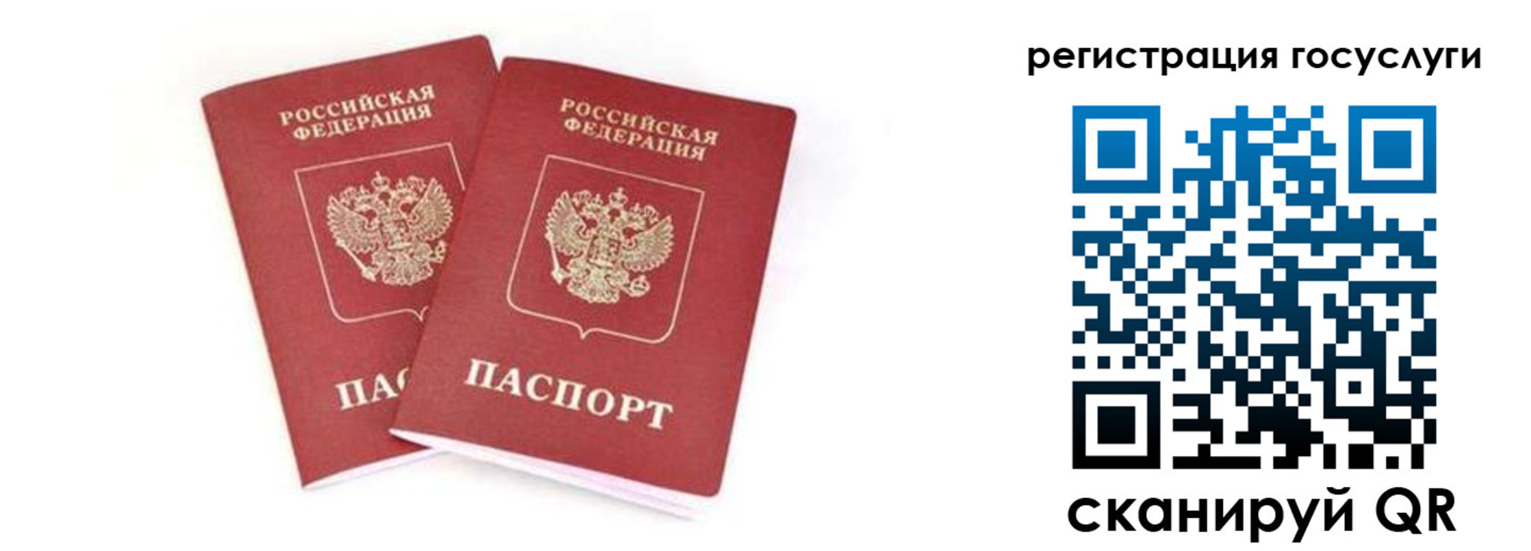 прописка в квартире в Сертолово